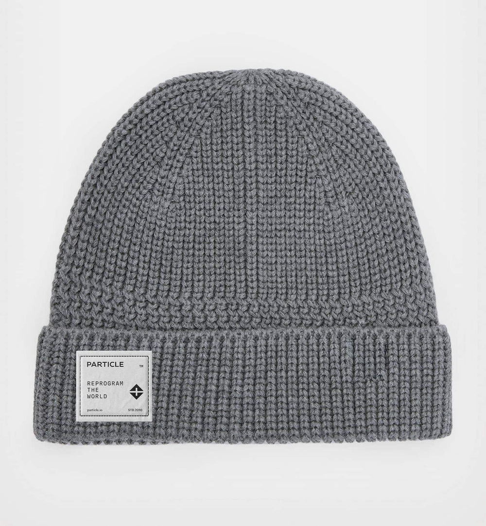 Reprogram The World Beanie